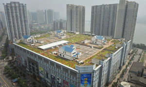 Къщи изникват върху покривите на моловете в Китай